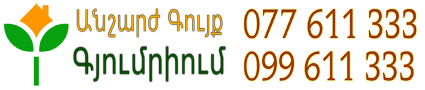 Անշարժ Գույք  Գյումրիում